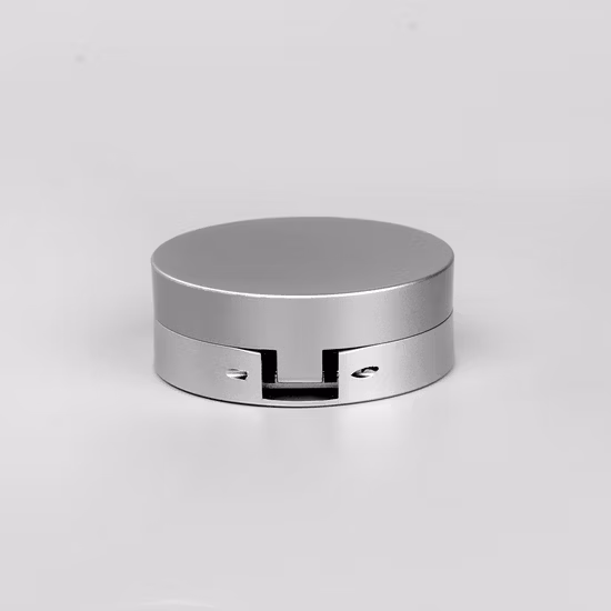 Recipiente cosmético para bálsamo labial, pequeno, cor prateada, pó solto, estampagem a quente, plástico, pó compacto, pó solto
